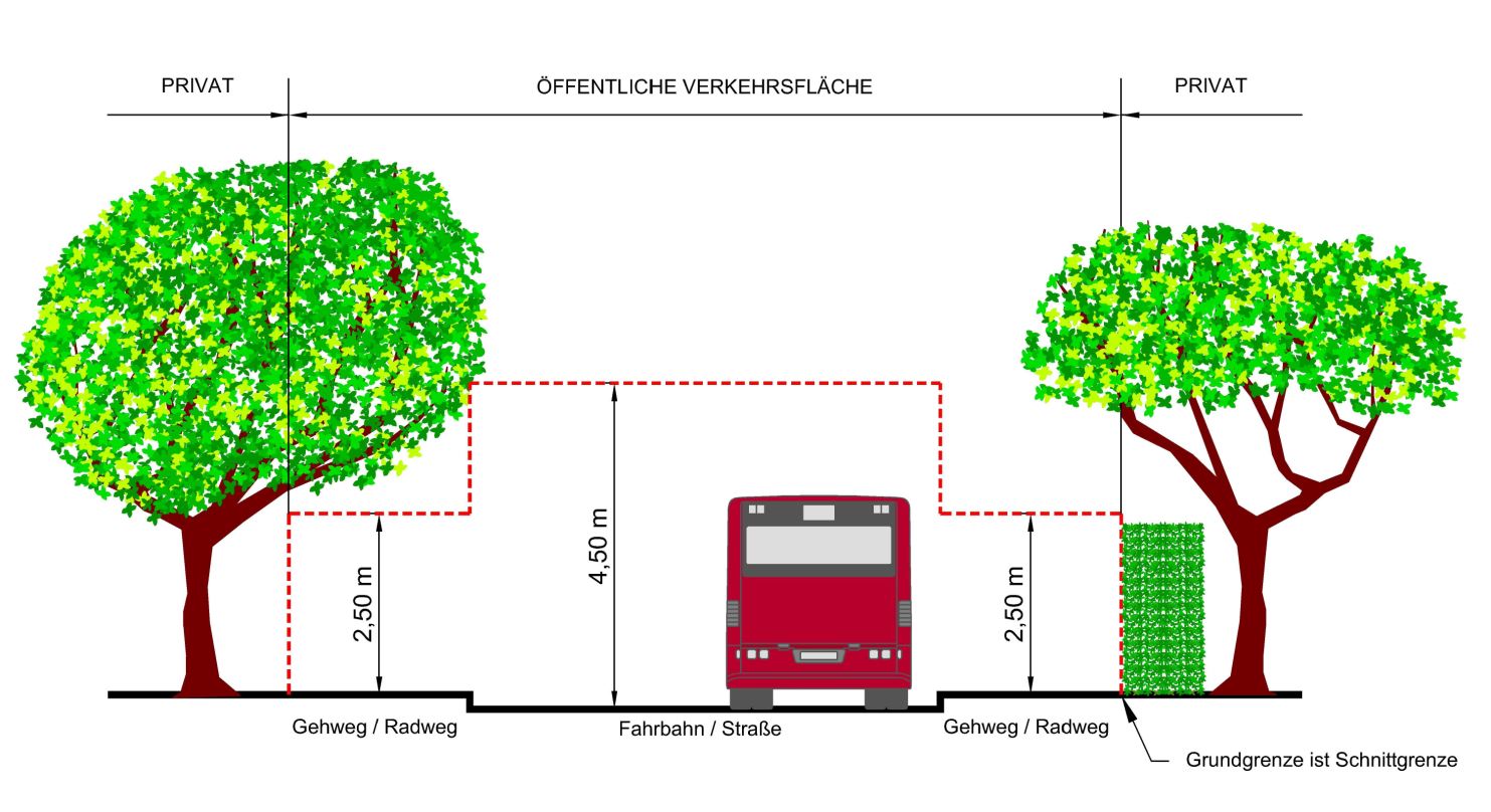 Auf der Grafik sind die oben angeführten Regeln zum Strauchschnitt nochmals grafisch dargestellt. Es sind zwei Bäume, ein Gehweg, die Straße und ein Bus darauf zu sehen.