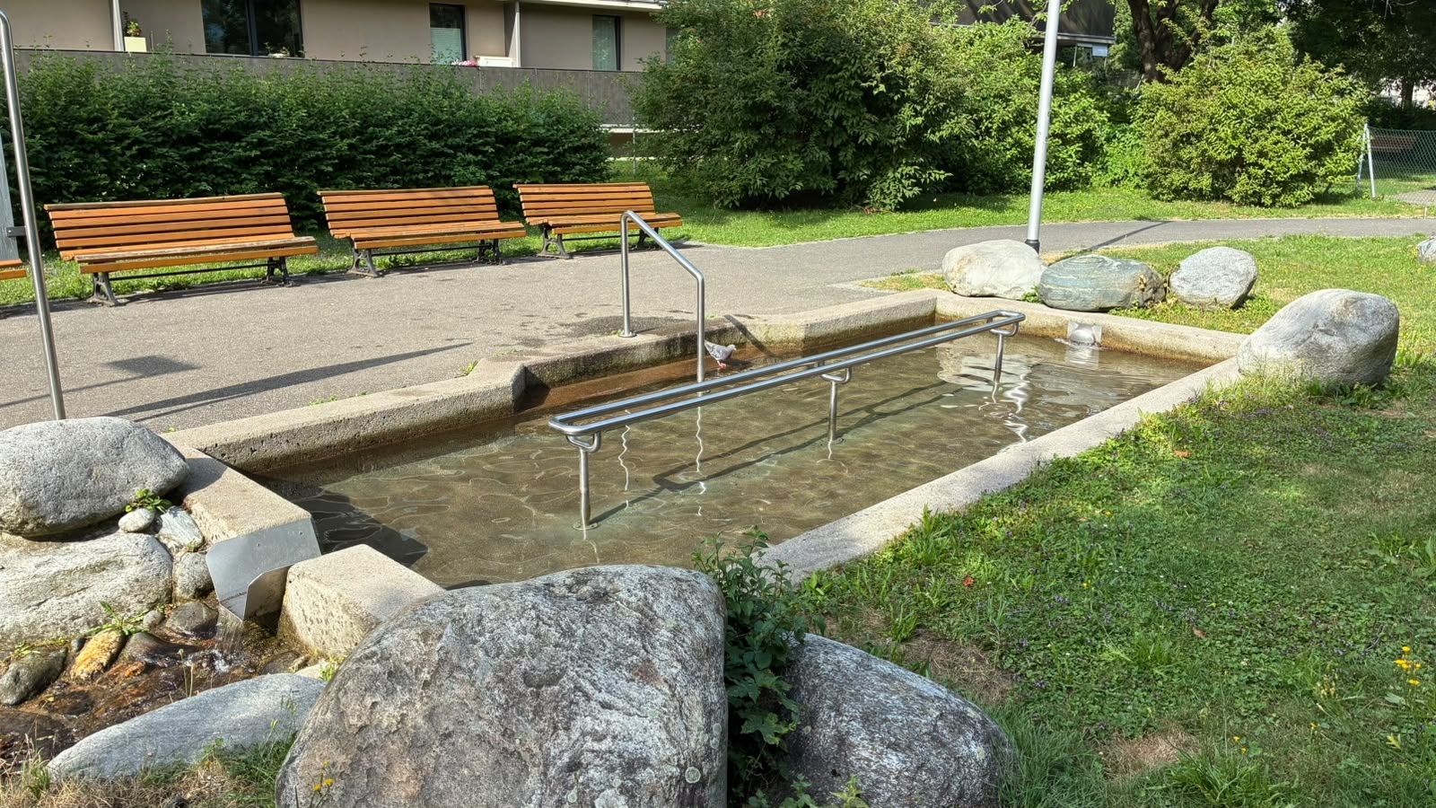 Ein Foto eines rechteckigen Kneipp-Tretbeckens im Freien. Zwei Handläufe aus Edelstahl sind montiert: einer führt vom Weg auf der linken Seite herab, und ein zweiter, paralleler Handlauf verläuft mittig über die gesamte Länge des Beckens, um Stabilität beim Gehen zu bieten. An der Vorderkante fließt Wasser über eine Metallrinne in einen tiefer liegenden Abfluss. Die Anlage ist von Gras und mehreren großen, abgerundeten Flusssteinen umgeben. Im Hintergrund sieht man drei Holzbänke.