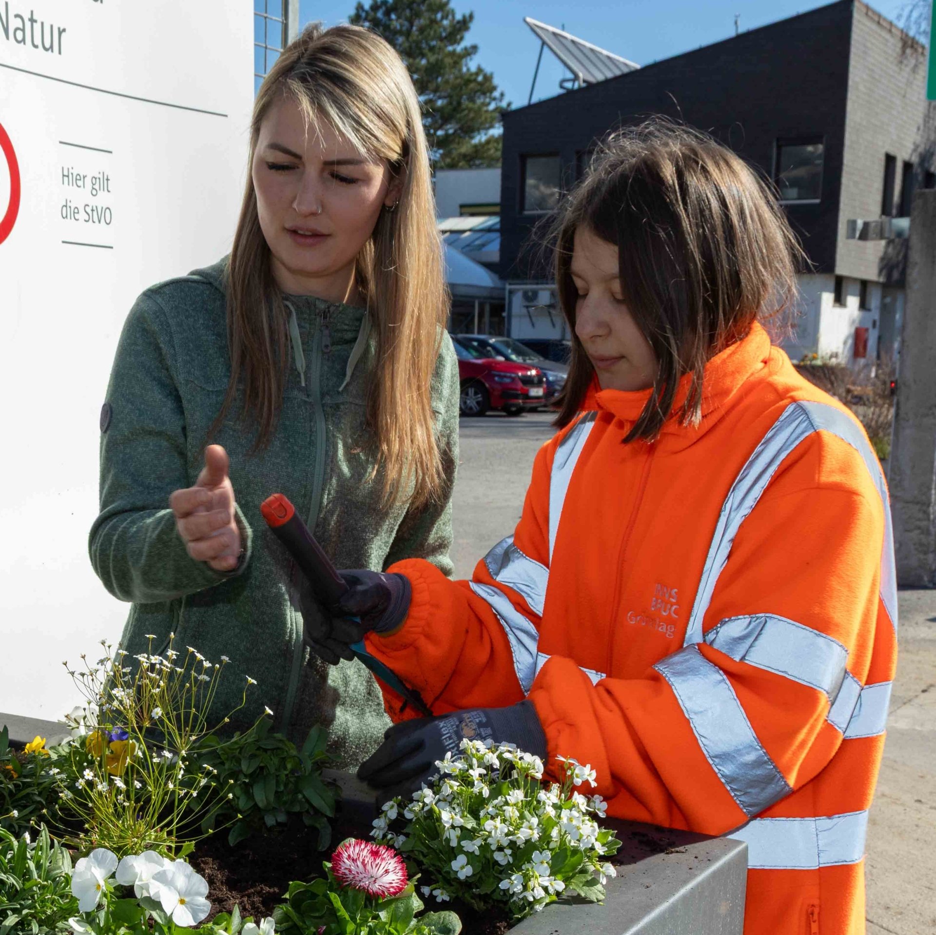 Zwei Zierpflanzengärtner:innen begutachten und pflegen blühende Zierpflanzen im Freien. Zwei Personen stehen vor einem Pflanzgefäßen mit violetten Blüten und betrachten gemeinsam eine Pflanze.
