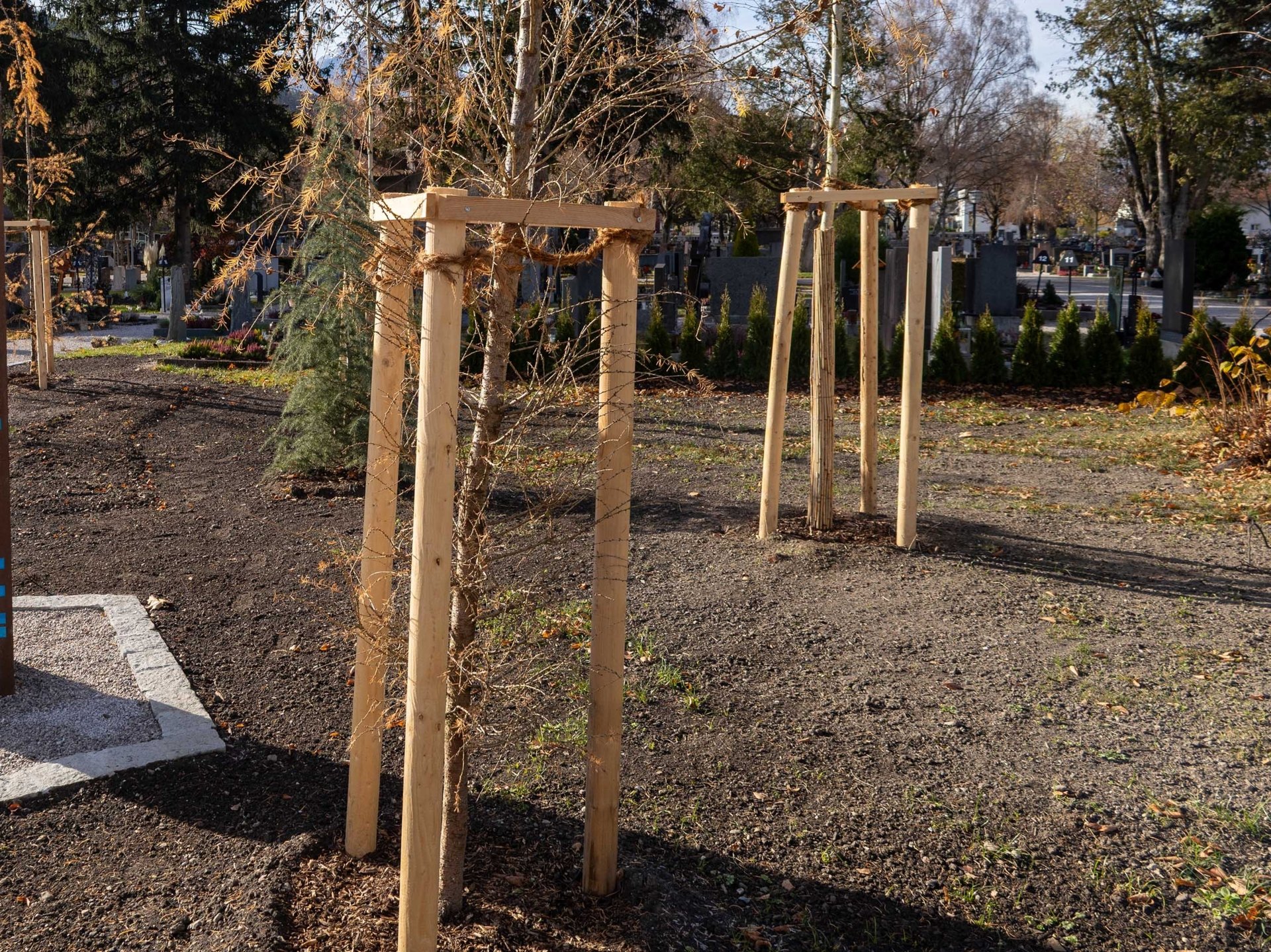 Junge Bäume werden durch stabile Baumstützen aus Holz gesichert. Die Stützen bestehen aus mehreren senkrechten Pfosten, die mit Querbalken verbunden sind und die noch dünnen Baumstämme auf einer offenen Grünfläche stabilisieren.