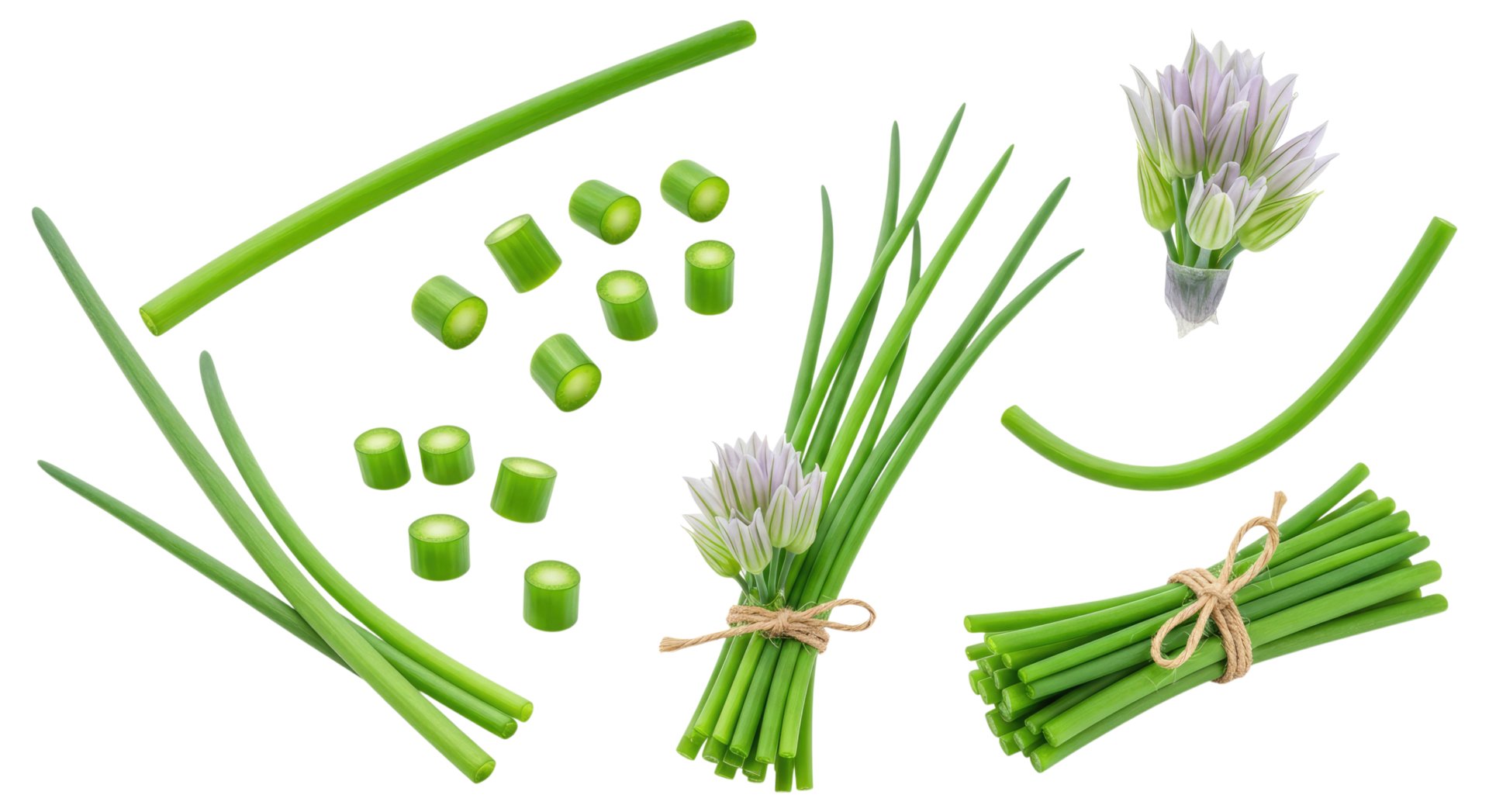 Frischer Schnittlauch in verschiedenen Formen: lange grüne Halme, geschnittene Röllchen, gebündelte Stängel und blassviolette Blüten auf hellem Hintergrund.