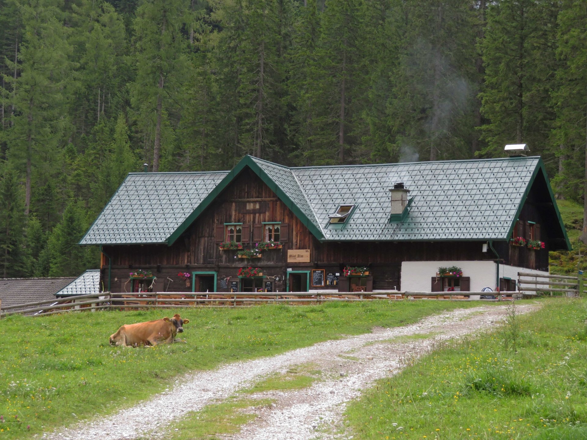 Im Vordergrund sieht man die Mösl Alm, dahinter ist der Wald zu sehen.