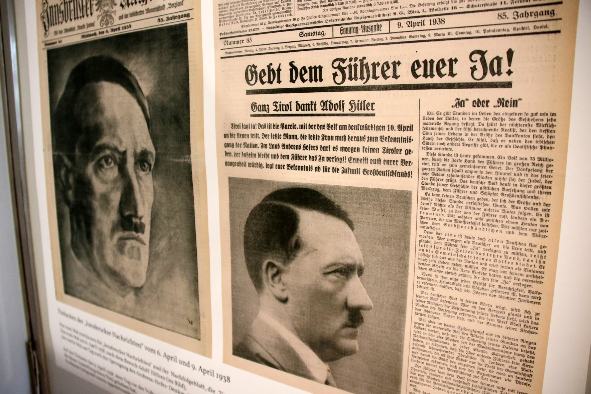 Gebt dem Führer euer Ja! Neues zu den Volksabstimmungen des Jahres 1938