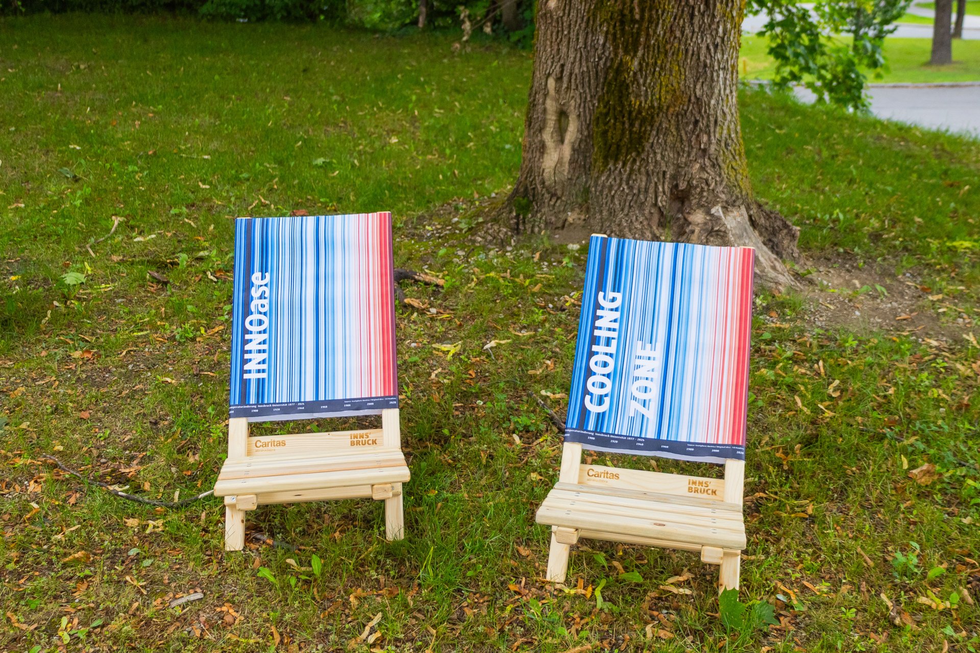 Zwei Klappstühle mit Lehnen mit farbigem Verlauf stehen im Gras vor einem Baum.